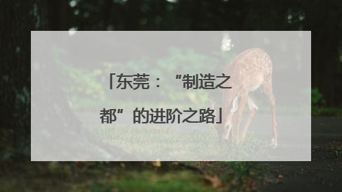 东莞：“制造之都”的进阶之路