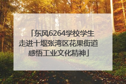 东风6264学校学生走进十堰张湾区花果街道感悟工业文化精神