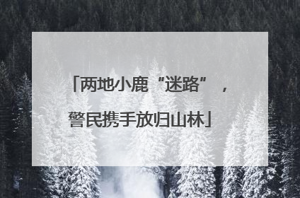 两地小鹿“迷路”，警民携手放归山林