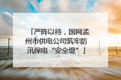 严阵以待，国网孟州市供电公司筑牢防汛保电“安全堤”