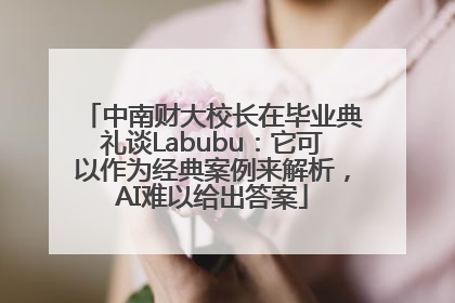 中南财大校长在毕业典礼谈Labubu：它可以作为经典案例来解析，AI难以给出答案