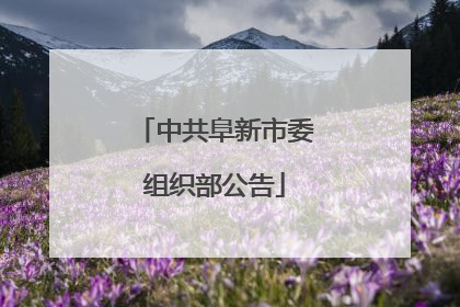 中共阜新市委组织部公告