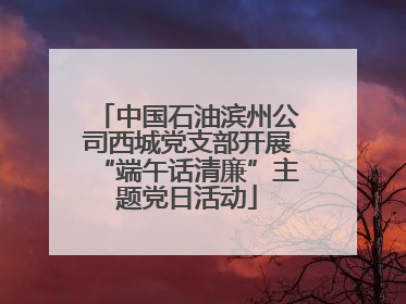 中国石油滨州公司西城党支部开展“端午话清廉”主题党日活动