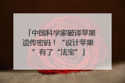 中国科学家破译苹果遗传密码！“设计苹果”有了“法宝”