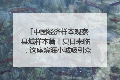 中国经济样本观察·县域样本篇｜夏日来临，这座滨海小城吸引众多年轻人打卡……