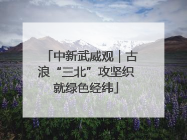 中新武威观｜古浪“三北”攻坚织就绿色经纬