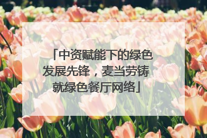 中资赋能下的绿色发展先锋，麦当劳铸就绿色餐厅网络
