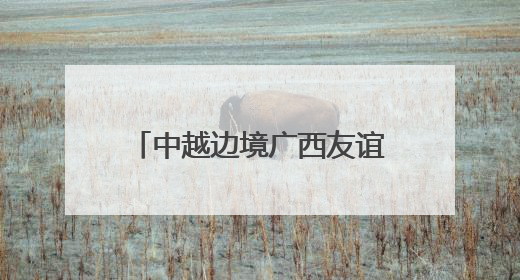 中越边境广西友谊关口岸前5月进出口货运量增长超三成