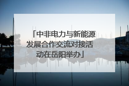 中非电力与新能源发展合作交流对接活动在岳阳举办