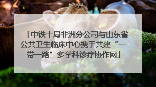 中铁十局非洲分公司与山东省公共卫生临床中心携手共建“一带一路”多学科诊疗协作网