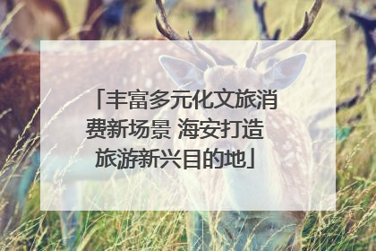 丰富多元化文旅消费新场景 海安打造旅游新兴目的地