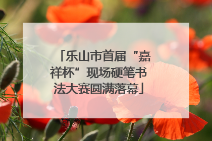 乐山市首届“嘉祥杯”现场硬笔书法大赛圆满落幕