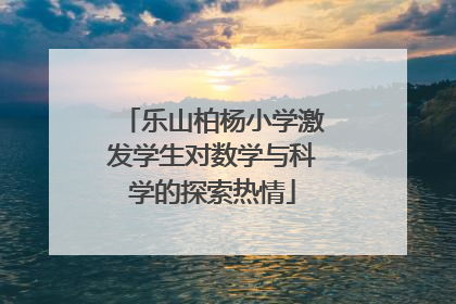 乐山柏杨小学激发学生对数学与科学的探索热情