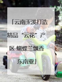 云南玉溪打造精品“云花”产区 蝴蝶兰飘香东南亚