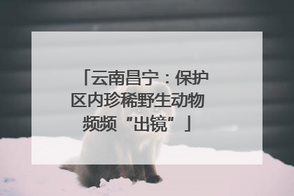 云南昌宁：保护区内珍稀野生动物频频“出镜”