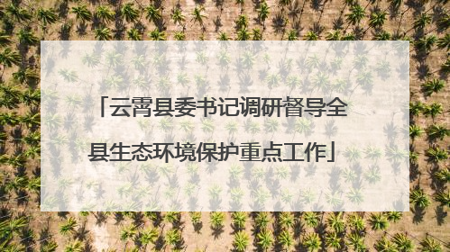 云霄县委书记调研督导全县生态环境保护重点工作