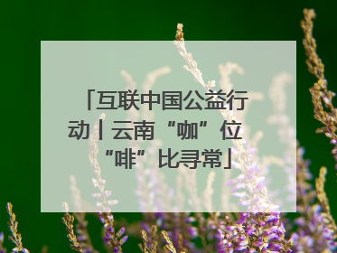 互联中国公益行动丨云南“咖”位“啡”比寻常
