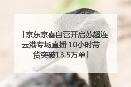京东京喜自营开启苏超连云港专场直播 10小时带货突破13.5万单