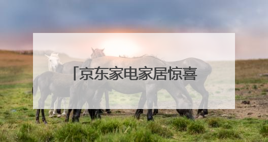 京东家电家居惊喜日迎来董明珠 带动空调品类销量同比增长100%