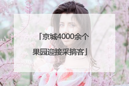 京城4000余个果园迎接采摘客