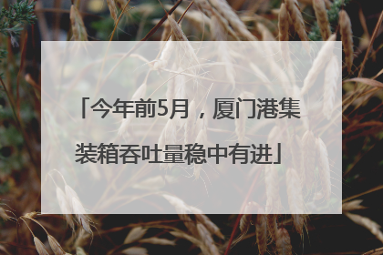 今年前5月，厦门港集装箱吞吐量稳中有进