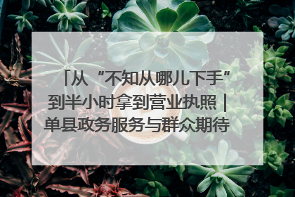 从“不知从哪儿下手”到半小时拿到营业执照｜单县政务服务与群众期待的“双向奔赴”