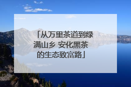 从万里茶道到绿满山乡 安化黑茶的生态致富路