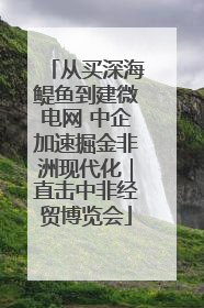 从买深海鳀鱼到建微电网 中企加速掘金非洲现代化｜直击中非经贸博览会