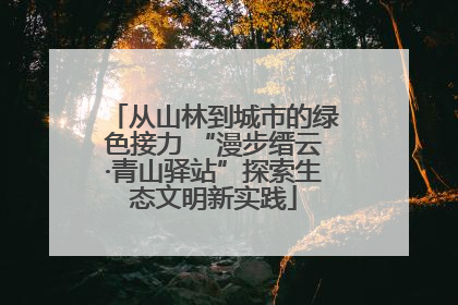 从山林到城市的绿色接力 “漫步缙云·青山驿站”探索生态文明新实践