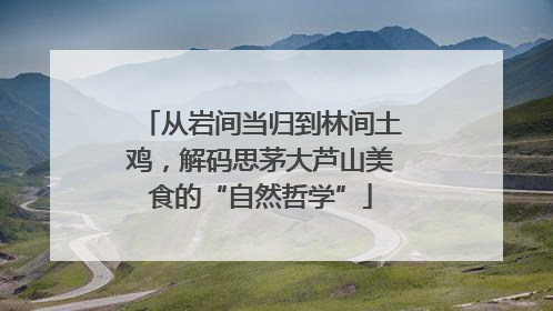 从岩间当归到林间土鸡，解码思茅大芦山美食的“自然哲学”