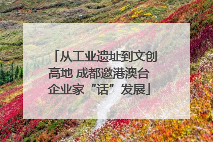 从工业遗址到文创高地 成都邀港澳台企业家“话”发展