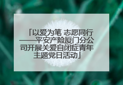 以爱为笔 志愿同行——平安产险厦门分公司开展关爱自闭症青年主题党日活动
