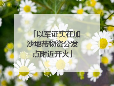 以军证实在加沙地带物资分发点附近开火