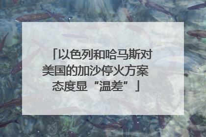 以色列和哈马斯对美国的加沙停火方案态度显“温差”