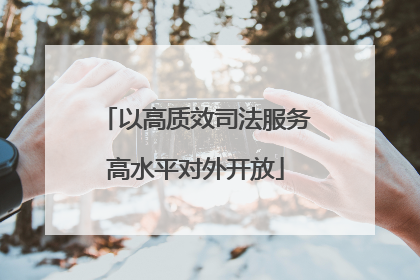 以高质效司法服务高水平对外开放
