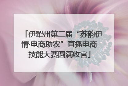 伊犁州第二届“苏韵伊情·电商助农”直播电商技能大赛圆满收官