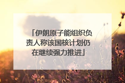 伊朗原子能组织负责人称该国核计划仍在继续强力推进