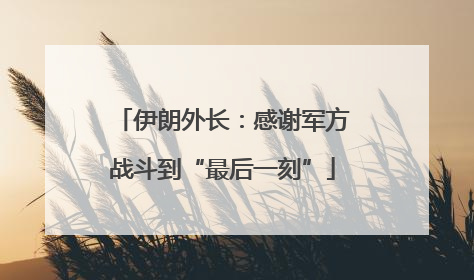 伊朗外长：感谢军方战斗到“最后一刻”