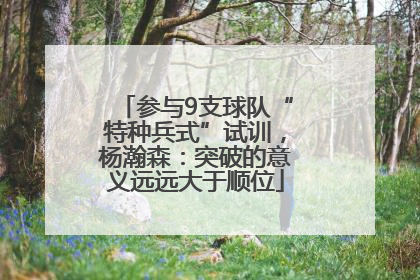 参与9支球队“特种兵式”试训，杨瀚森：突破的意义远远大于顺位