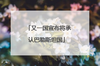 又一国宣布将承认巴勒斯坦国