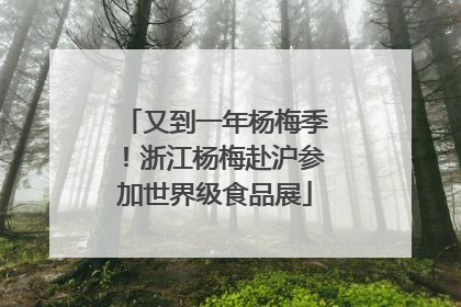 又到一年杨梅季！浙江杨梅赴沪参加世界级食品展