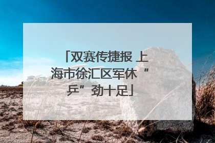 双赛传捷报 上海市徐汇区军休“乒”劲十足