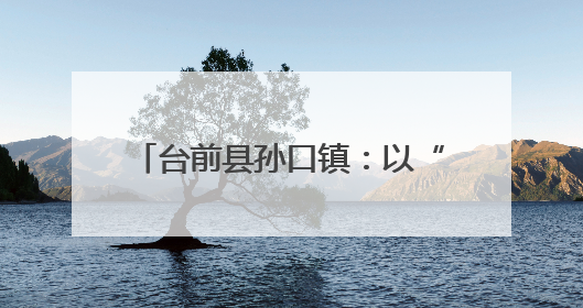 台前县孙口镇：以“红色引擎”驱动乡村建设“绿色发展”