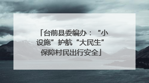 台前县委编办：“小设施”护航“大民生” 保障村民出行安全