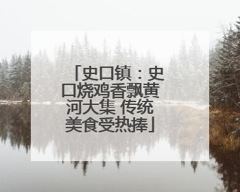史口镇：史口烧鸡香飘黄河大集 传统美食受热捧