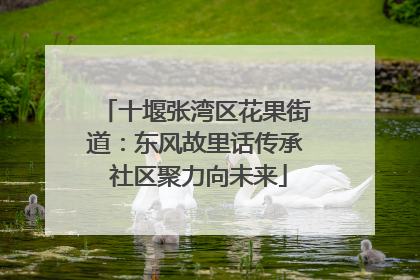十堰张湾区花果街道：东风故里话传承 社区聚力向未来