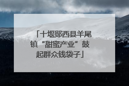 十堰郧西县羊尾镇“甜蜜产业”鼓起群众钱袋子