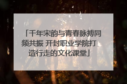 千年宋韵与青春脉搏同频共振 开封职业学院打造行走的文化课堂