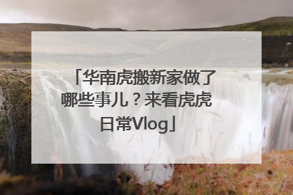 华南虎搬新家做了哪些事儿？来看虎虎日常Vlog