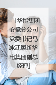 华能集团安徽分公司党委书记马冰武履新华电集团副总经理